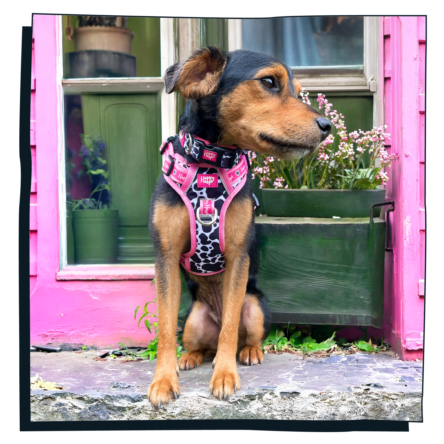 'Udderly Perfect' Dog Collar