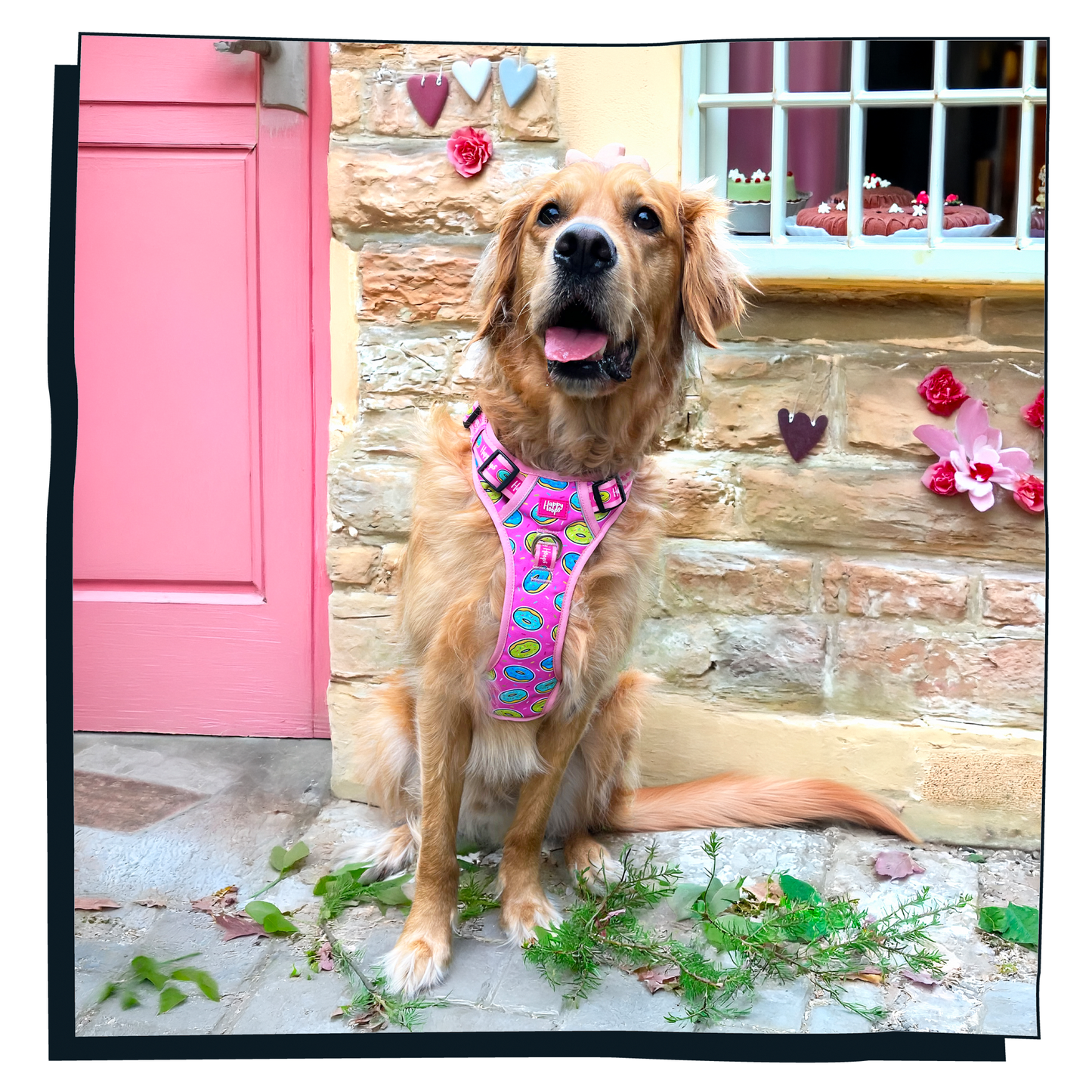 'Doggy Donut' Happy Harness