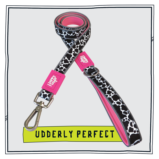 Pink Happy Hoops dog lead with funky cow print design with plush pink neoprene padding, reflective strips, robust 360 degree metal rotating clasp and rust proof stainless steel D-ring.
