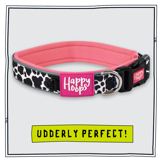 Pink Happy Hoops dog collar with funky cow print design with plush pink neoprene padding, reflective strips and velcro size adjustment