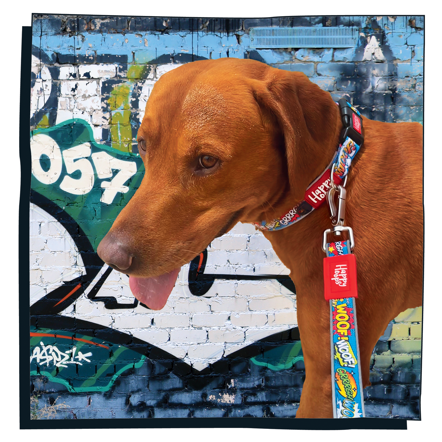 'Woof' Dog Lead