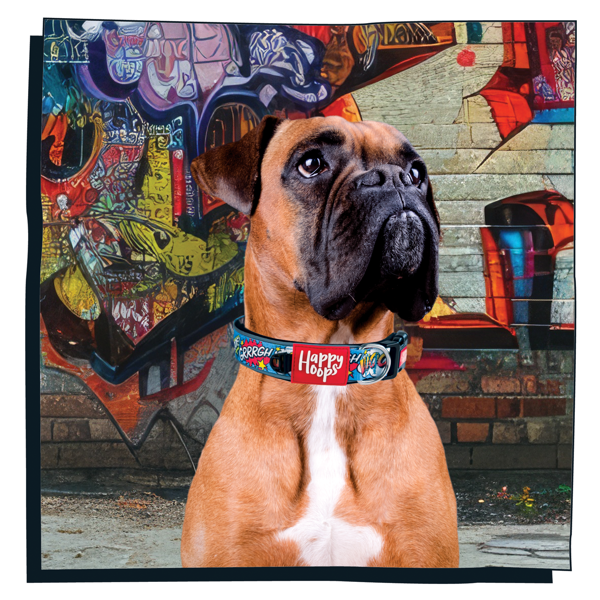 Boxer dog wearing a Happy Hoops cute and funky multicolour dog collar with cute colourful Woof design with plush black neoprene padding, reflective strips and velcro size adjustment